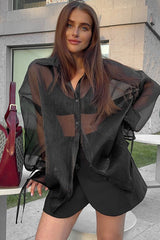 Sheer Puff Sleeve Collared  Elegant Workwear Blouse